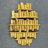 Brandeis Benefactor Pin